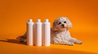 Maltese mix dog lying next to three white plastic bottles on vibrant orange background. Pet care and grooming products concept for advertising and marketing materials.