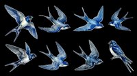 Swallows in flight, blue watercolor birds isolated on transparent background, ready for t-shirt designs, clipart, stickers, sublimation and print-on-demand projects.