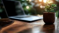 Small green plant in wooden pot next to laptop on wooden desk with soft natural sunlight and bokeh effect, creating cozy home office atmosphere for remote work.