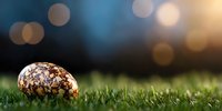 Speckled quail egg resting on fresh green grass with soft bokeh lights in background creating dreamy natural atmosphere. Macro spring photography.