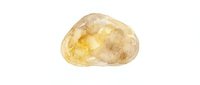 Isolated raw potato with light tan skin and yellow flesh, cut in half to show interior texture and composition for culinary and food design projects.