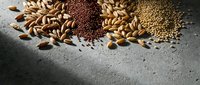 Assorted seeds and grains including almonds, quinoa, and lentils scattered on concrete surface for cooking and nutrition.