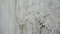 Weathered concrete wall with peeling paint and cracks showing aging urban decay texture for industrial design backgrounds.