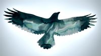 Majestic eagle silhouette with double exposure forest landscape wings spread in flight against white background for nature wildlife design projects.