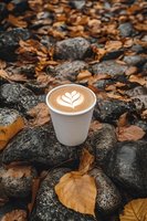 Takeaway coffee cup with latte art heart design on rocks surrounded by fallen autumn leaves, creating cozy seasonal atmosphere for cafe and beverage marketing.