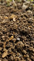 Close-up of rich, dark soil with organic matter and mineral particles. Macro photography showing earth texture for gardening, agriculture, environmental, and educational content.
