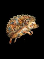 Decorative hedgehog with ornate floral patterns in warm earthy tones, isolated on transparent background, ready for stickers, t-shirt design, and print on demand.