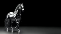Majestic white horse in elegant pose on reflective black surface with dramatic lighting for luxury equestrian and premium brand marketing materials.
