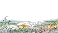 Peaceful countryside landscape with rolling hills and wildflower meadows in soft pastel colors, hand-drawn illustration style for nature and travel designs.