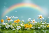 Spring meadow with colorful wildflowers and rainbow in dreamy sky background for nature and seasonal design projects.
