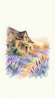 Watercolor painting of rustic stone cottage with climbing roses surrounded by purple lavender fields at golden sunset on white background.