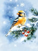 Yellow songbird perched on snowy pine branch with red berries against blue winter sky with falling snowflakes, watercolor style artwork for seasonal greeting cards.