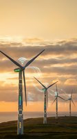 Smart wind turbines with digital connectivity icons generating renewable energy at sunset for sustainable technology and green power solutions.