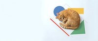 Orange tabby cat sleeping on colorful geometric shapes with white background, perfect for modern design projects and creative layouts.