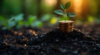 Young green plant growing from stack of coins in fertile soil against blurred natural background, symbolizing financial growth and sustainable investment.