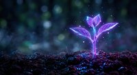 Glowing purple plant seedling emerging from dark soil with magical sparkles and bokeh lights in fantasy nature scene for growth and innovation concepts.