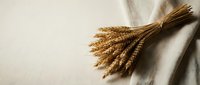 Golden wheat sheaf bundle resting on soft linen fabric, rustic harvest concept with warm natural tones and copy space.