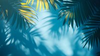 Tropical palm leaves casting soft shadows on turquoise blue background, creating dramatic natural lighting effect and exotic summer mood.