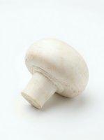 Single white button mushroom isolated on neutral background, ready for culinary, food styling, and recipe design projects.