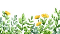 Watercolor floral border with yellow daisies and green leaves on white background, botanical arrangement for wedding invitations and greeting cards.