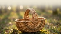Handwoven wicker basket with intricate braided handle sitting on mossy surface in golden sunlight. Traditional craftsmanship for rustic home decor and storage.