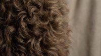 Close-up of natural curly brown wool texture with soft, wavy fibers. Organic material background for fashion, textile, and design projects.