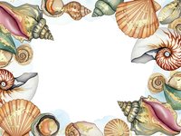 Watercolor seashells frame border with nautilus, conch, scallop shells on white background for marine themed designs, invitations and coastal decor projects.