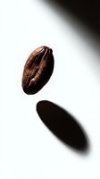 Single roasted cocoa bean isolated on white background with shadow, ready for beverage, chocolate, and food industry design projects.