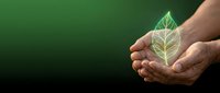 Hands gently holding glowing green leaf against dark background symbolizing environmental protection, sustainability and eco-friendly conservation concept.