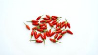 Fresh red chili peppers with green stems scattered on white background, isolated for culinary and food design projects.