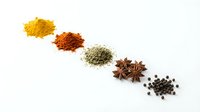 Colorful spices and herbs arranged in diagonal line on white background. Turmeric, paprika, oregano, star anise and black peppercorns for cooking.