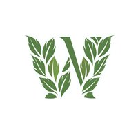 Decorative capital letter W formed with elegant green leaves and floral elements on white background, suitable for natural product branding and eco-friendly designs.