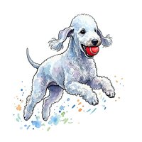 White standard poodle with red tongue jumping happily, watercolor style illustration on transparent background. Ideal for pet-related designs, greeting cards, and apparel.
