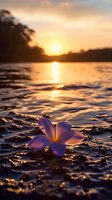 Plumeria flower floating on rippling water at sunset, golden light reflecting on waves, silhouetted mountains in background, creating serene tropical atmosphere.