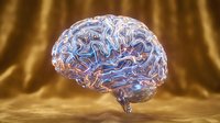 Transparent glass brain with neural pathways on golden background for medical education, neuroscience research, psychology concepts and healthcare presentations.