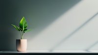 Minimalist green houseplant in pink ceramic pot on white shelf against gray wall with dramatic diagonal shadow creating modern interior design composition.