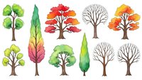 Watercolor tree collection featuring seasonal foliage in green, red, orange and yellow colors isolated on white background for nature design projects.