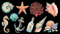 Watercolor sea life collection featuring nautilus, starfish, coral, seashells, seahorse, anchor, message bottle, and spiral shells isolated on transparent background. Ready for t-shirt designs, clipart, stickers, sublimation, and print-on-demand projects.
