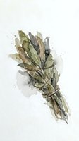 Watercolor illustration of fresh asparagus bunch tied with twine, featuring soft green and gray tones with organic splashes, suitable for culinary designs and food-related projects.