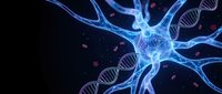 Glowing blue neuron cell with DNA strands and synaptic connections on dark background for medical research and neuroscience education concepts.