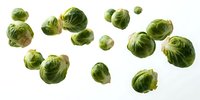 Fresh brussels sprouts scattered on white background, isolated green vegetables for healthy cooking and nutritional content visualization.