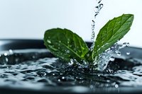 Fresh green mint leaves with water droplets splashing on dark reflective surface, dramatic macro photography with crisp details and motion capture.
