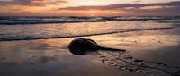 Dramatic sunset over ocean waves with dark rock formation on sandy beach creating peaceful coastal scenery for travel and nature themes.