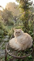 White fluffy cat sitting on ornate metal garden bench surrounded by lush green vines and foliage in sunlit outdoor setting.