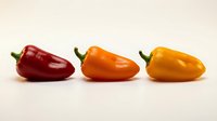 Three fresh bell peppers in red, orange, and yellow arranged in a row on neutral background. Suitable for food, cooking, nutrition, and healthy eating content.