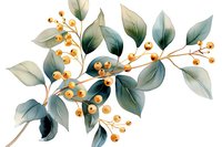 Delicate watercolor branch with sage green leaves and golden berries, botanical art composition on white background, isolated floral element for design projects.