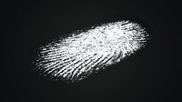 White fingerprint impression on black background showing detailed ridge patterns and whorls for forensic investigation and security applications.