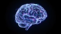 Glowing neon brain with electric blue and purple neural pathways on black background for neuroscience, artificial intelligence and medical concepts.