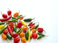 Assorted fresh chili peppers in red, orange, yellow and green varieties arranged on white background, isolated for culinary, cooking and food design projects.