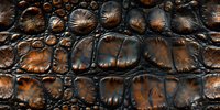 Close-up macro shot of dark brown crocodile or alligator skin texture showing detailed scales, bumps and natural leather pattern with glossy surface.